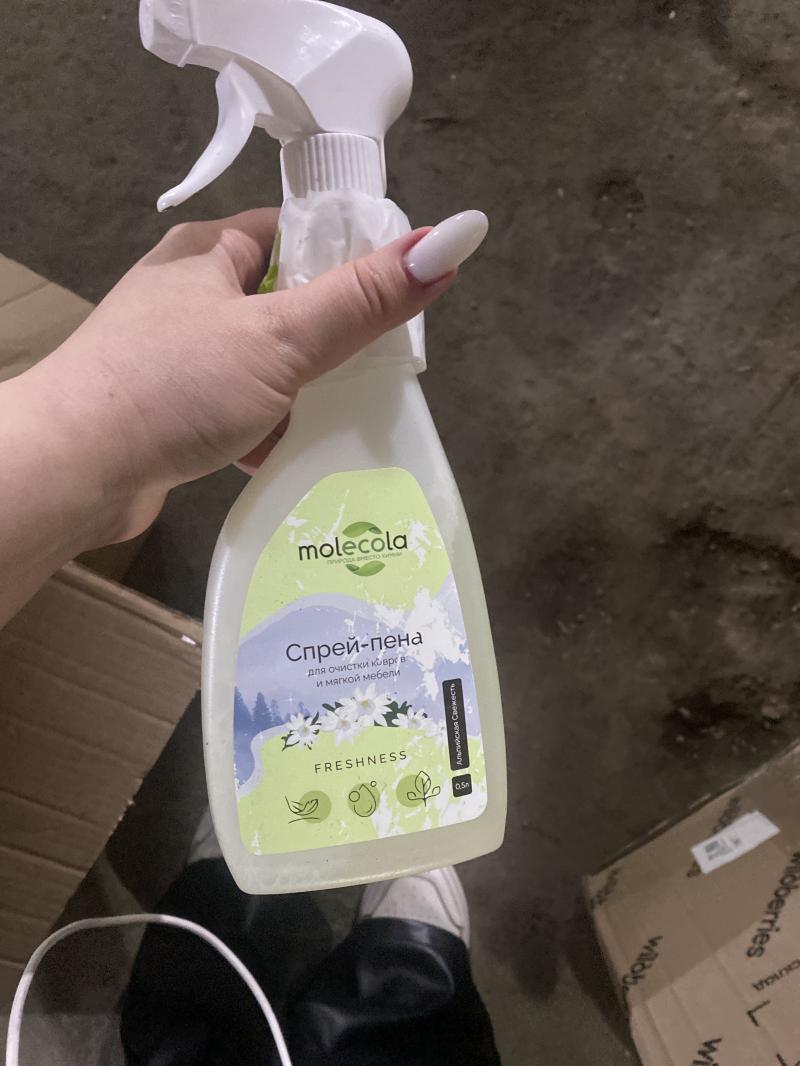 Спрей пена для очистки Ковров и мягкой мебели молекула 500 мл